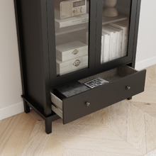Darius 2 Door Display Cabinet